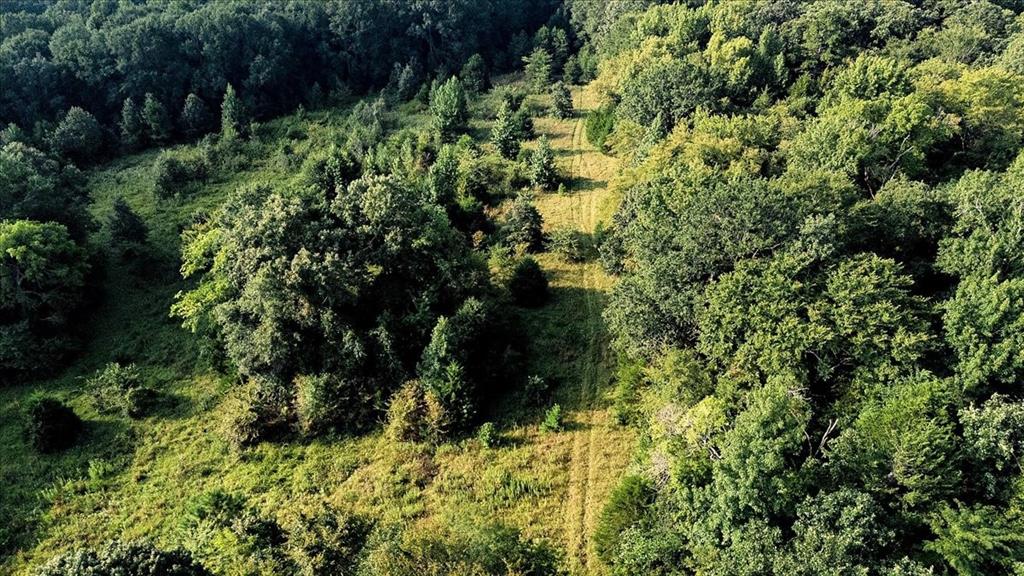 Pedro Del Rio League Abs #19 - Farm