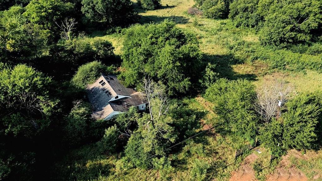 Pedro Del Rio League Abs #19 - Farm