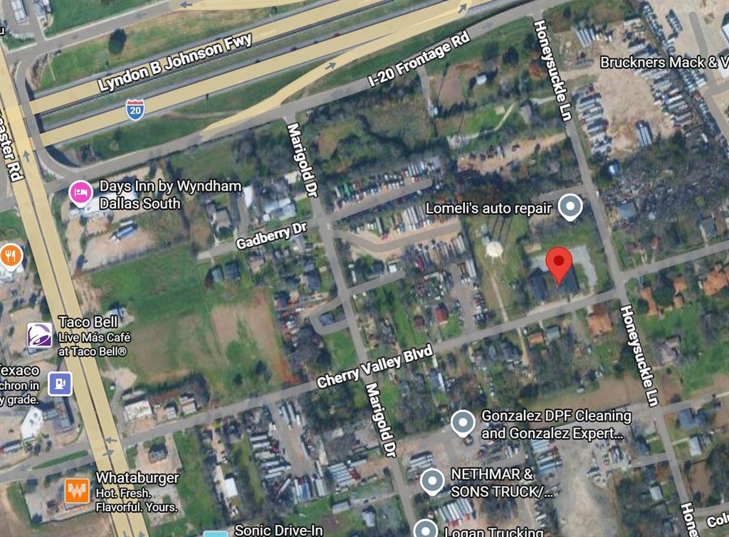 Cherry Valley Honey Suckle - Commercial Sale