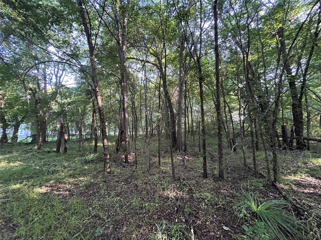 (A0188) ROJAS FRANCISCO DE - Residential