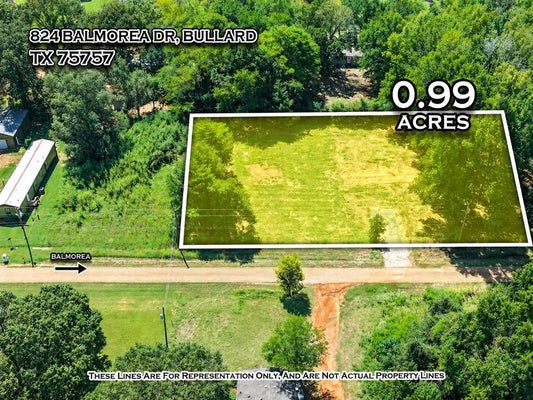 824 BALMOREA DR, BULLARD, TX 75757 - Image f7e663af10d0f50bf955bdb069541d8d/3702788136