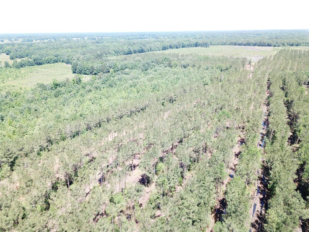 Off CR 4290