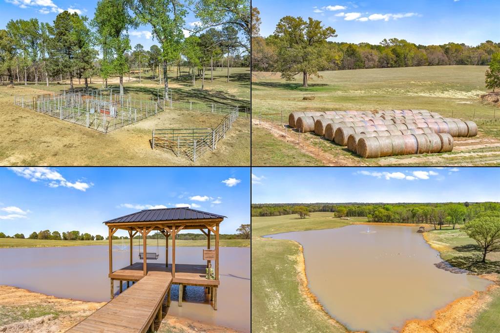 Winona, Texas, 75792, United States, 3 Bedrooms Bedrooms, ,4 BathroomsBathrooms,Residential,Active,2032067