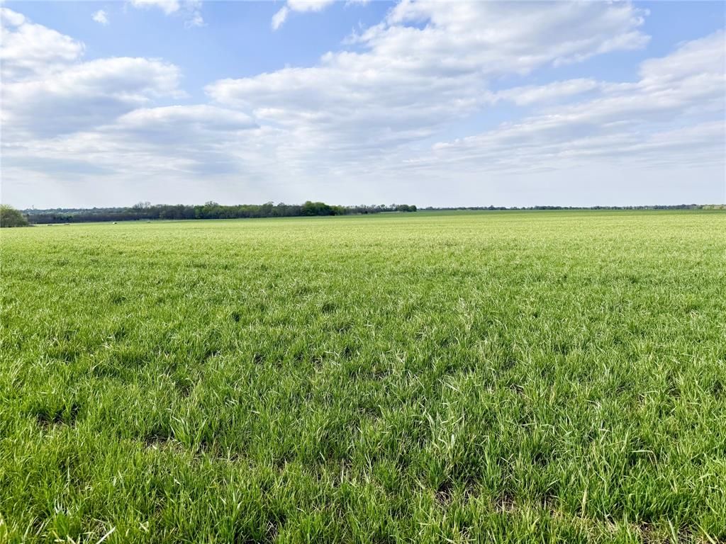 Photo of TBD Fm 64, Pecan Gap, TX 75469 (MLS # 21251798)