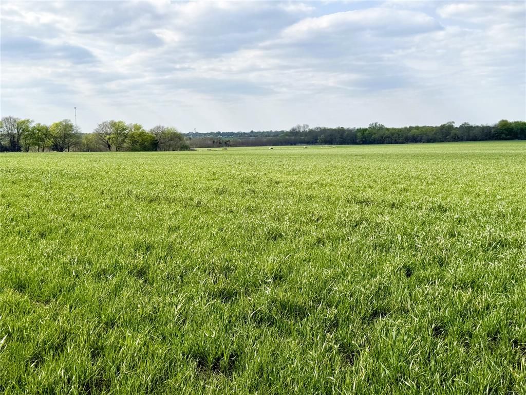 Photo of TBD Fm 64, Pecan Gap, TX 75469 (MLS # 21251798)