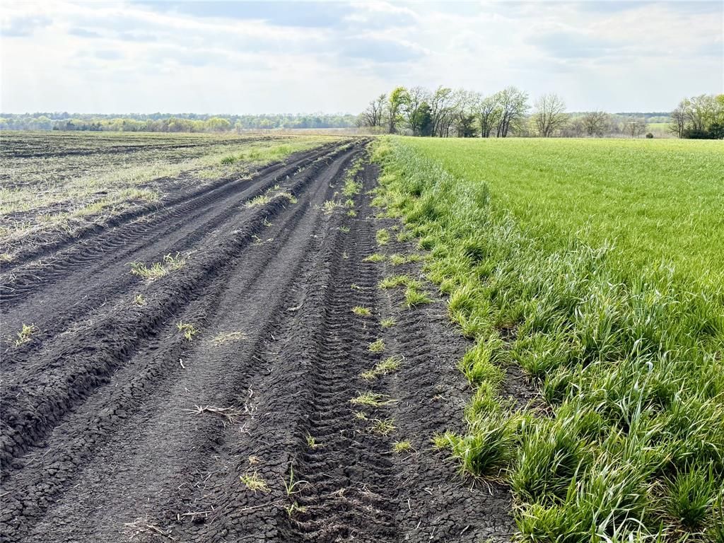 Photo of TBD Fm 64, Pecan Gap, TX 75469 (MLS # 21251798)