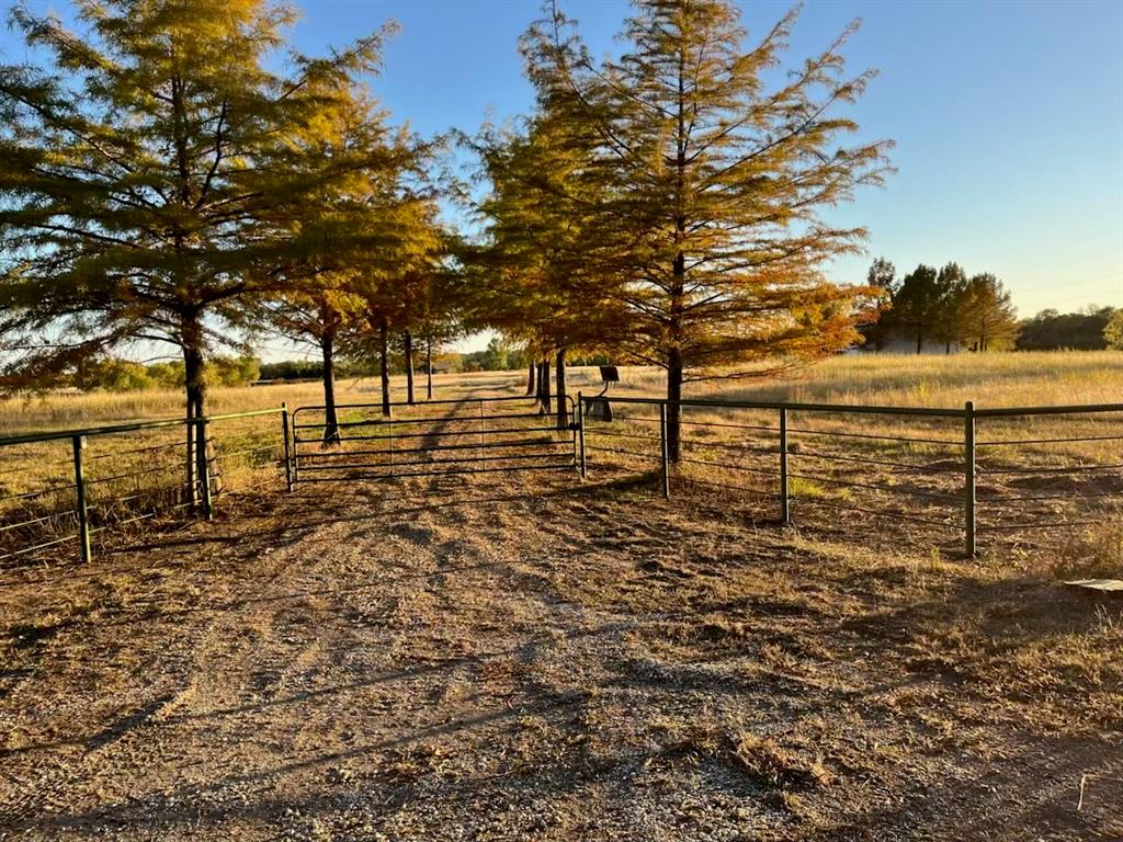 CHISUM NEIGHBORHOOD - Residential