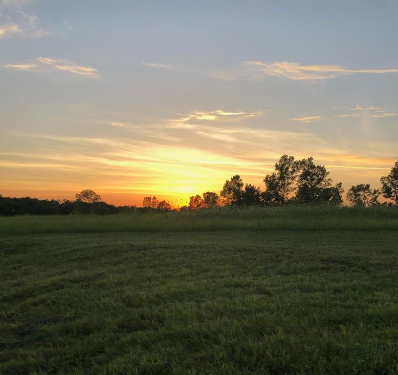 CHISUM NEIGHBORHOOD - Residential