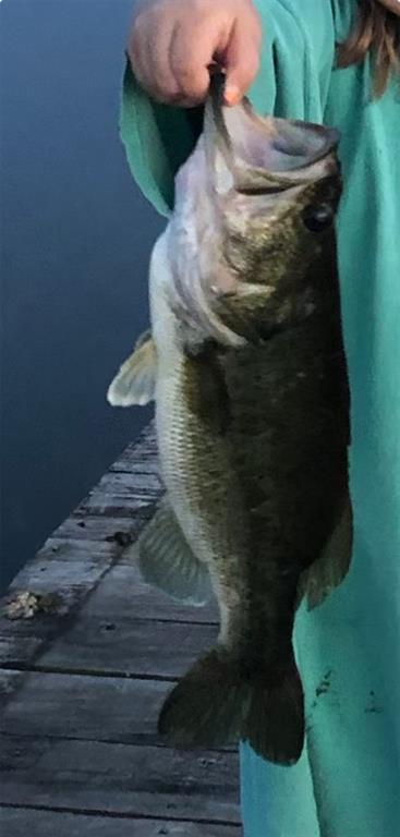 CHISUM NEIGHBORHOOD - Residential