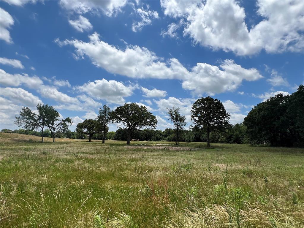 Sulphur Springs - Land