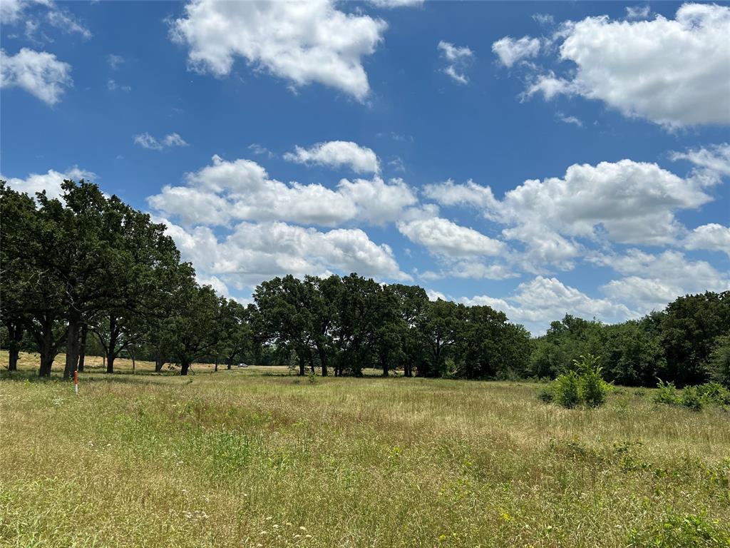 Sulphur Springs - Land