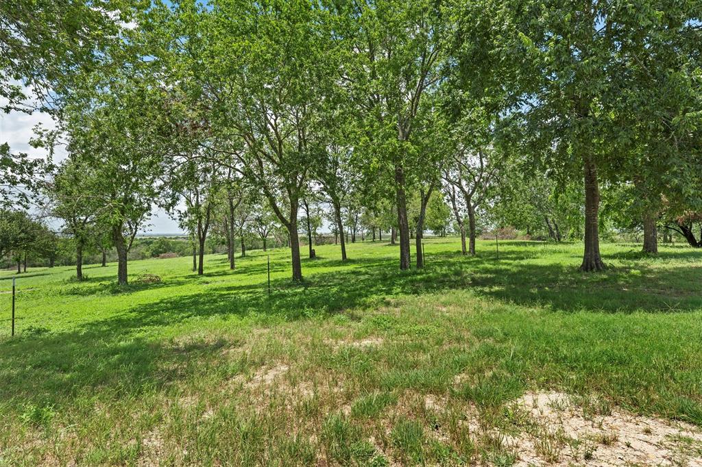 404 County Road 459