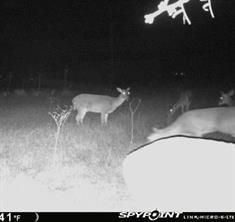 TBD County Road 343
