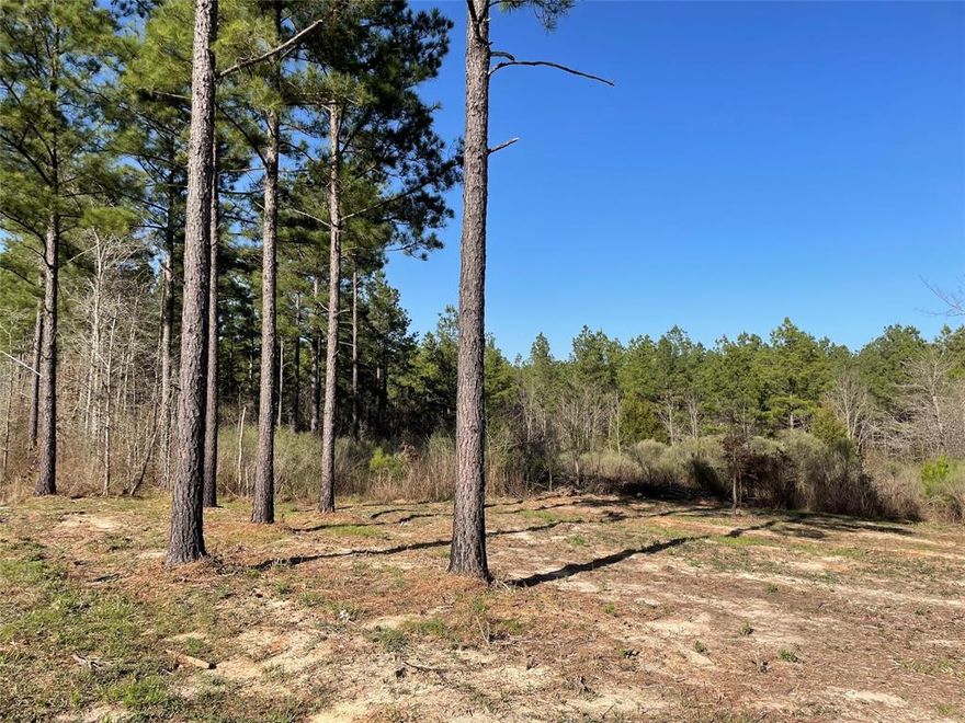 This is a 3.75 acre tract located in Benton, LA.  A little piece of country living located only 10 miles from I-20 in the Benton School District.  Come check it out!  There are some restrictions in place such as no mobile homes.