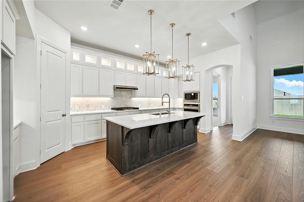 Pecan Square: 50ft. lots - Residential