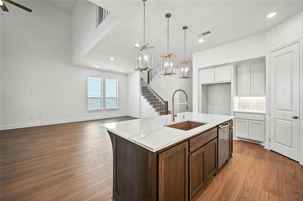 Pecan Square: 50ft. lots - Residential