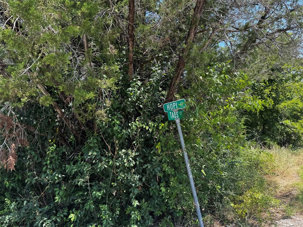 Indian Harbor - Land