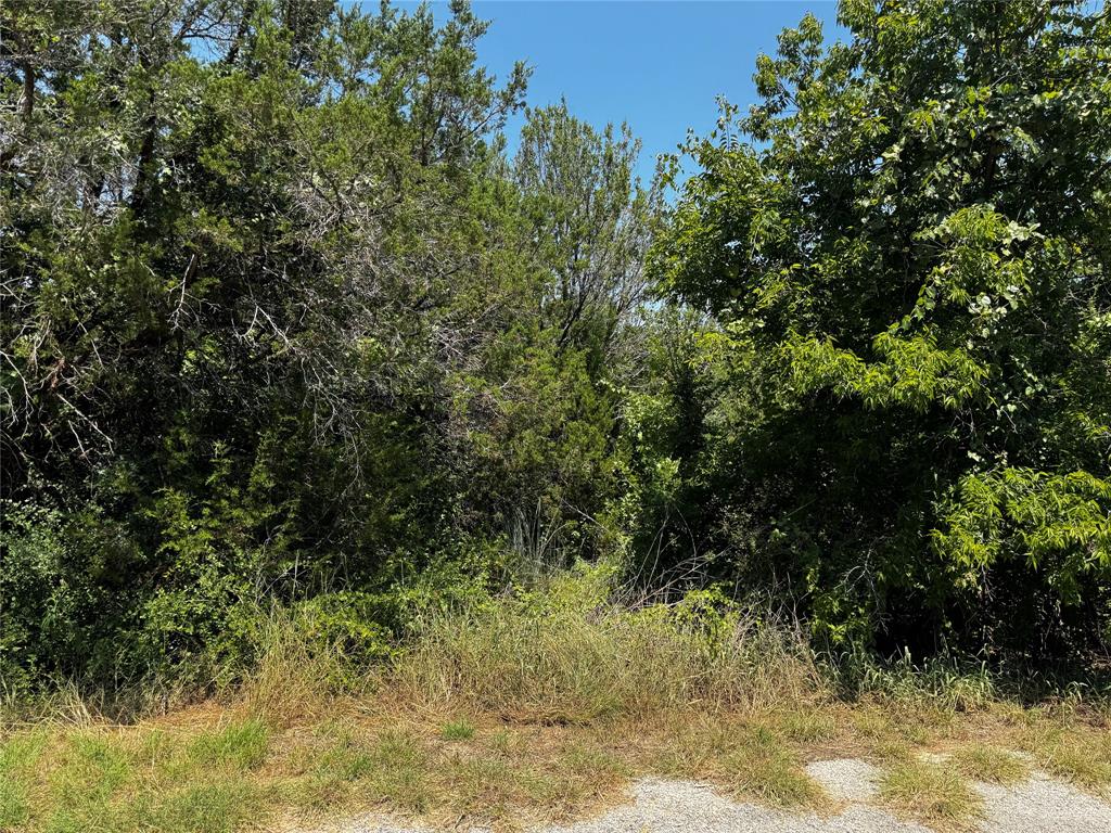 Indian Harbor - Land