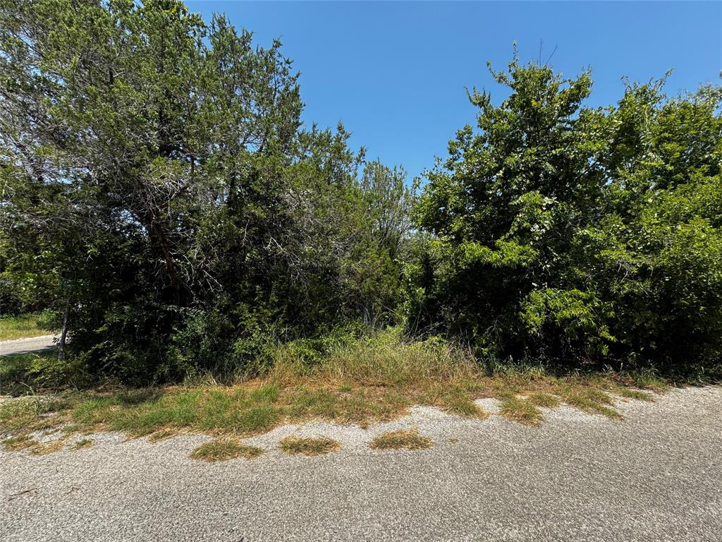 Indian Harbor - Land