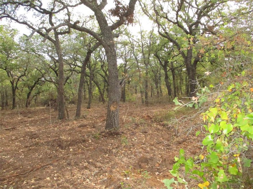 14.01 acres of Thick, mature, oak trees line the front of this property and just the perfect setting for that new home. Property sits at end of county maintain road with plenty of privacy so come on out and pick the tract that suits you best. Electricity to all tracts, in area of good water wells, minimal restrictions like no mobiles, no manufactured, site built only but no size restrictions. Property has some open areas, partial fencing, under ag for low taxes. Aerial in pictures of tracts available.
