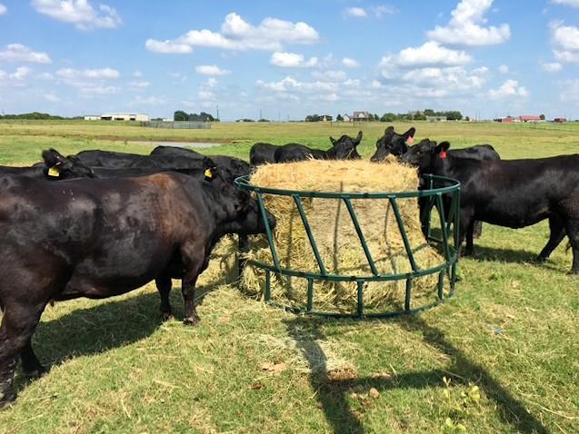 ABST 328 HENDRICKS - Farm