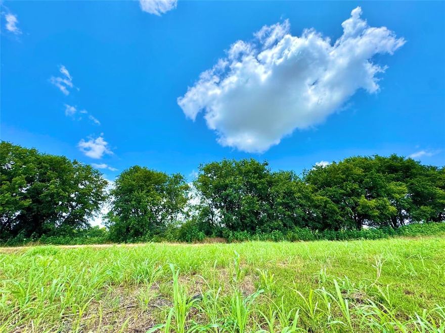 Texans weren’t meant to live in Suburbia. It’s crowded. Loud. Busy. 

Creating a life on this acre and a half is a different experience. You can see the stars, hear yourself think, truly escape and relax. 

Water and power are at the street and ready for you to develop your new homesite. You just need a septic. 

Your property is just minutes to the grocery store or a short commute over the lake to DFW. But when you’re here, it’s perfectly quiet and peaceful. 

This 1.5 acres is 136 feet across and almost 500 feet to the back. Deed restrictions prevent anyone from hurting your investment. 

There's a nearly 300 acres farm behind you and a 10 acre ranchette next to you. So you'll have wide views and less activity than in a neighborhood.