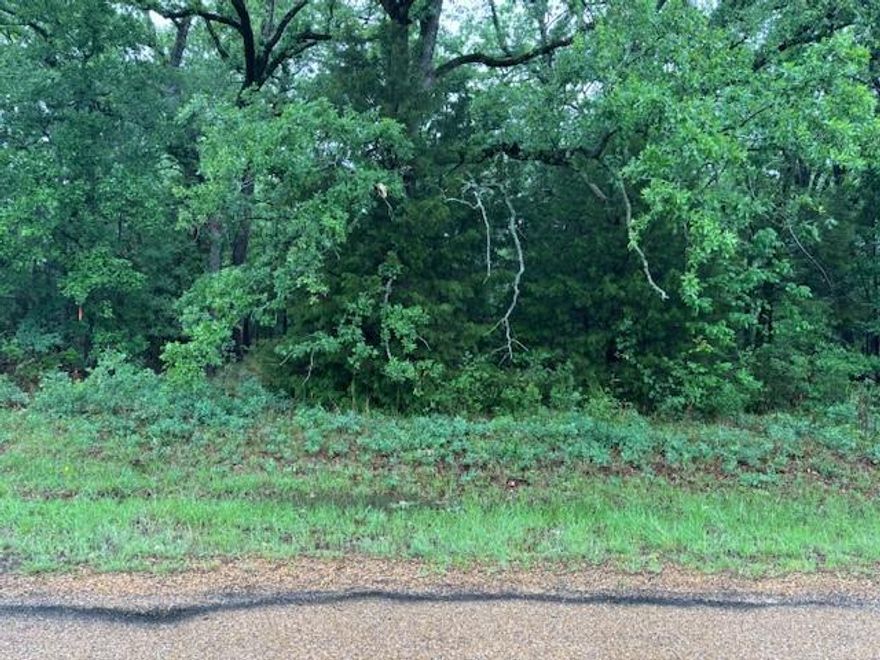 This buildable lot located close to Cedar Creek Lake offers the opportunity for investment or to build your home. This mobile friendly community grants use of the community pool, boat ramp and park. Survey is located in the transaction desk.