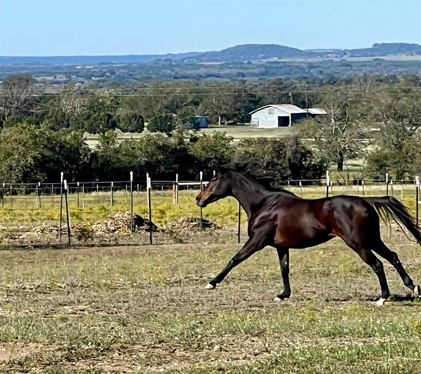 ALFORD RANCH ESTATES - Farm