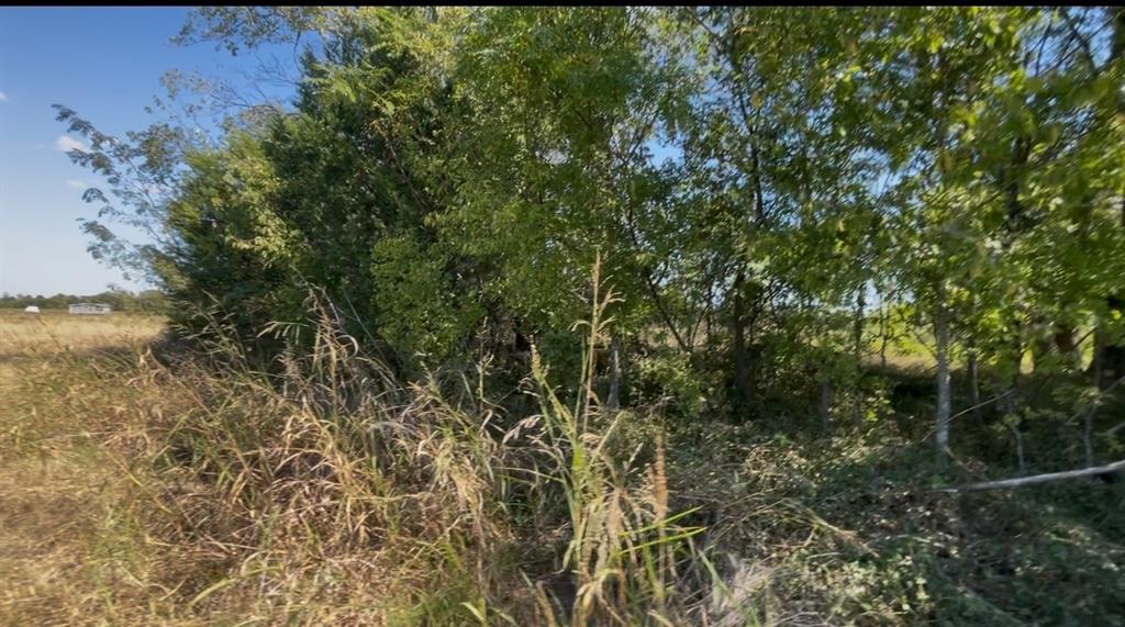 TBD COUNTY ROAD 4060