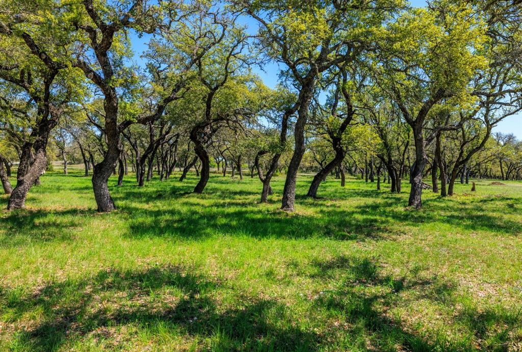 3101 Ranch Road 962 E