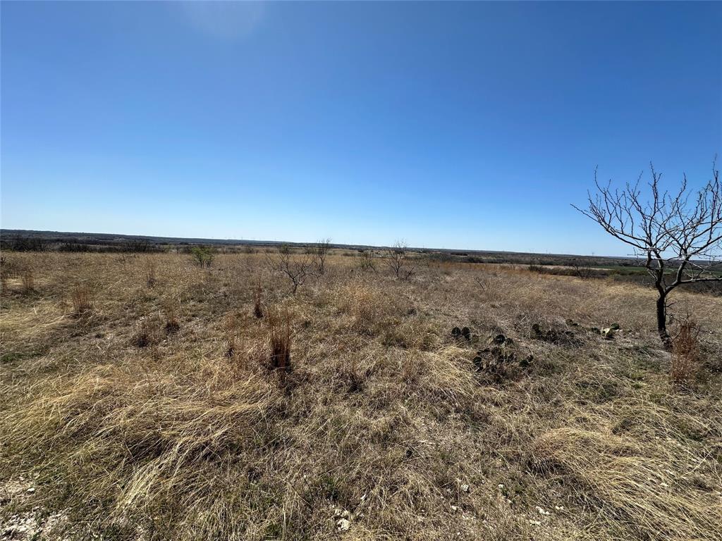 Mercer's Preserve - Land