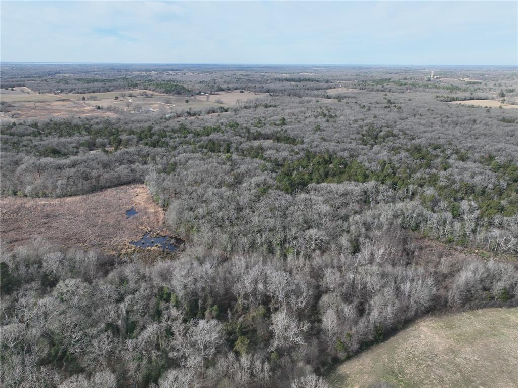 (0608) WATSON G.W. - Land