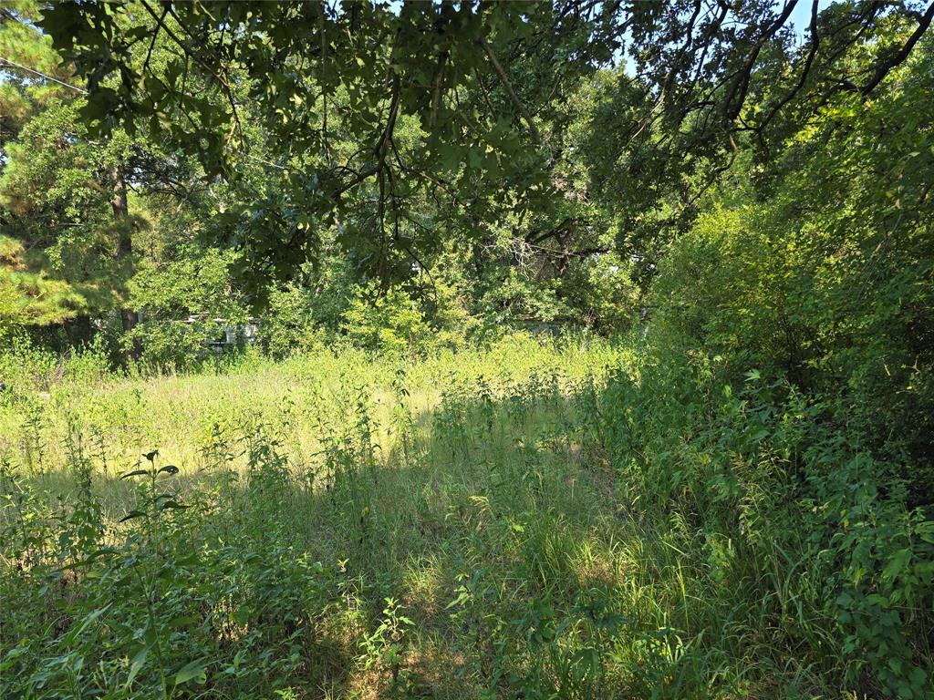 5229 County Road 316