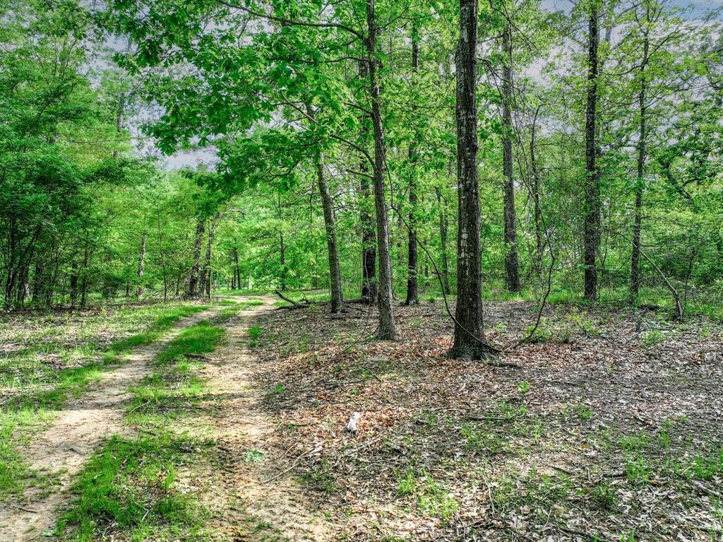 200 County Road 3635