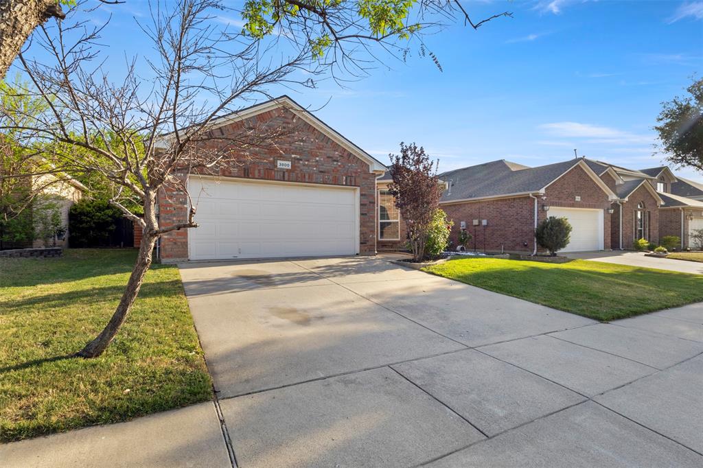 3800 Summersville Lane