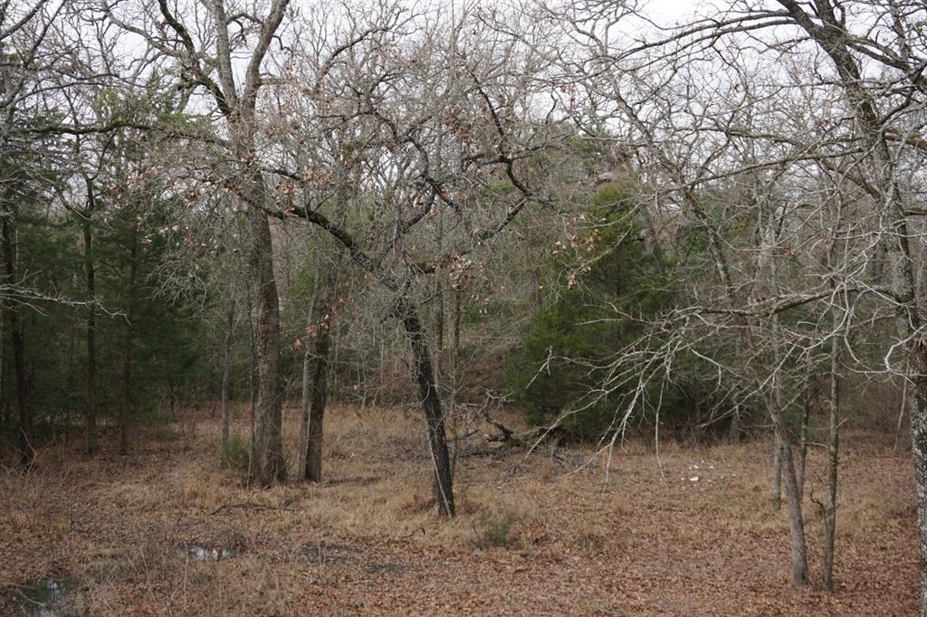 Cross Roads - Residential