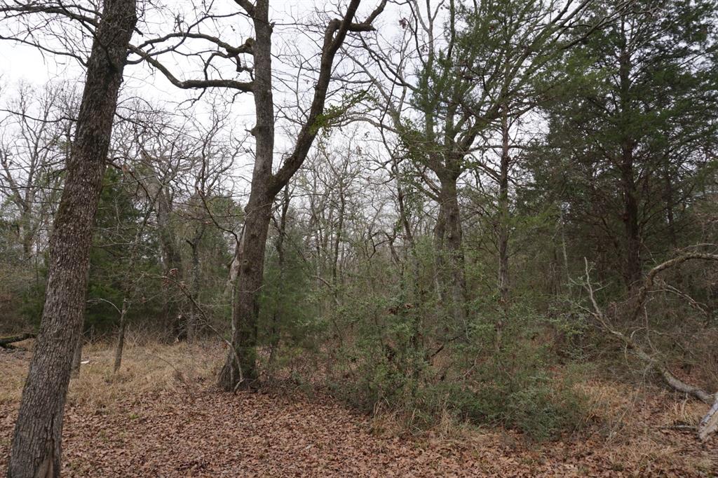 Cross Roads - Residential