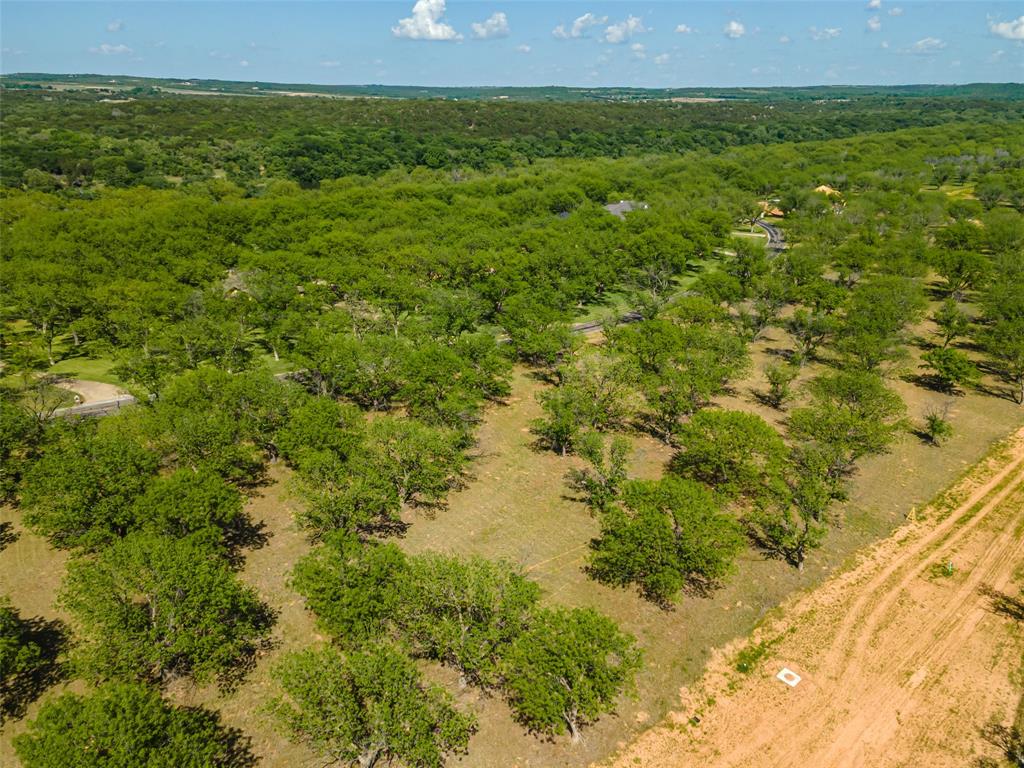 Pecan Plantation - Land