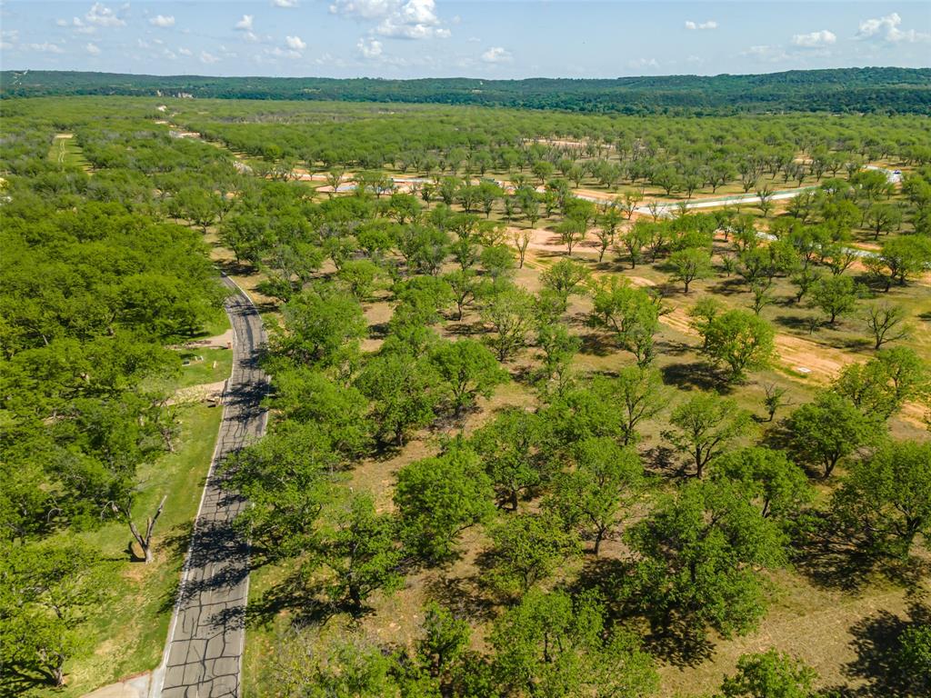 Pecan Plantation - Land