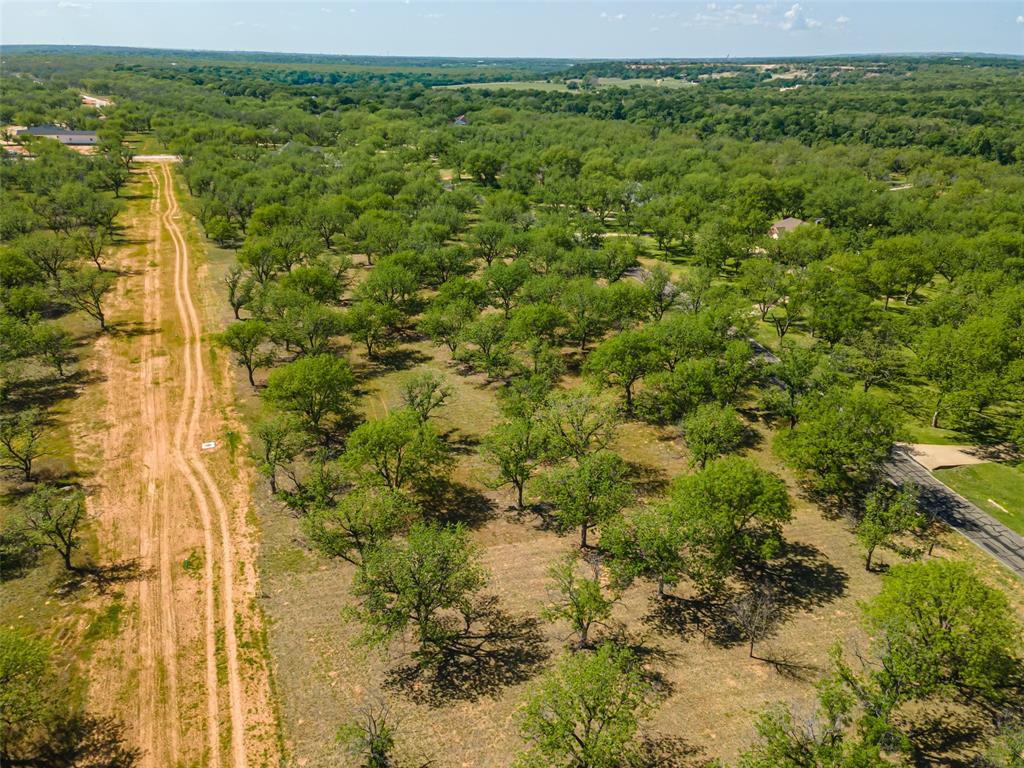 Pecan Plantation - Land