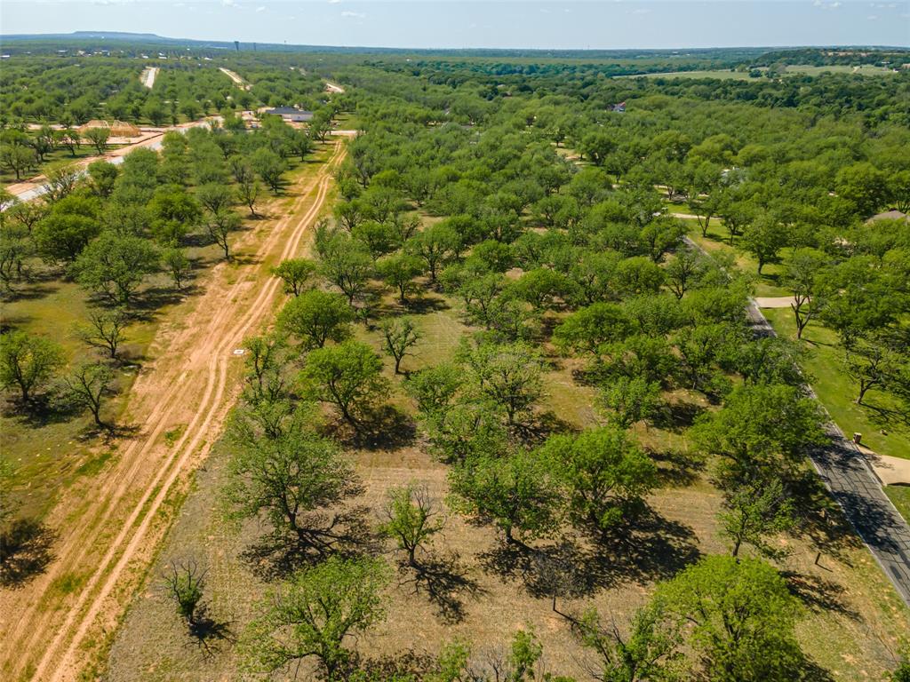 Pecan Plantation - Land
