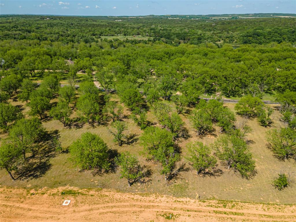 Pecan Plantation - Land
