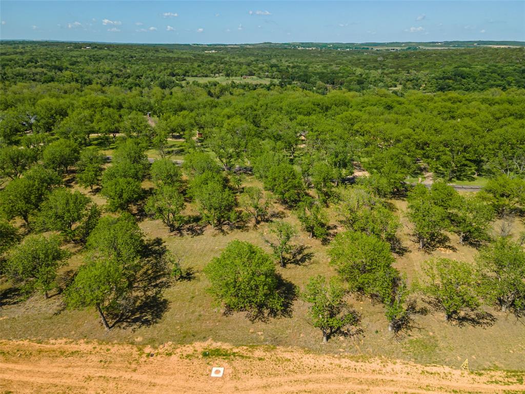 Pecan Plantation - Land