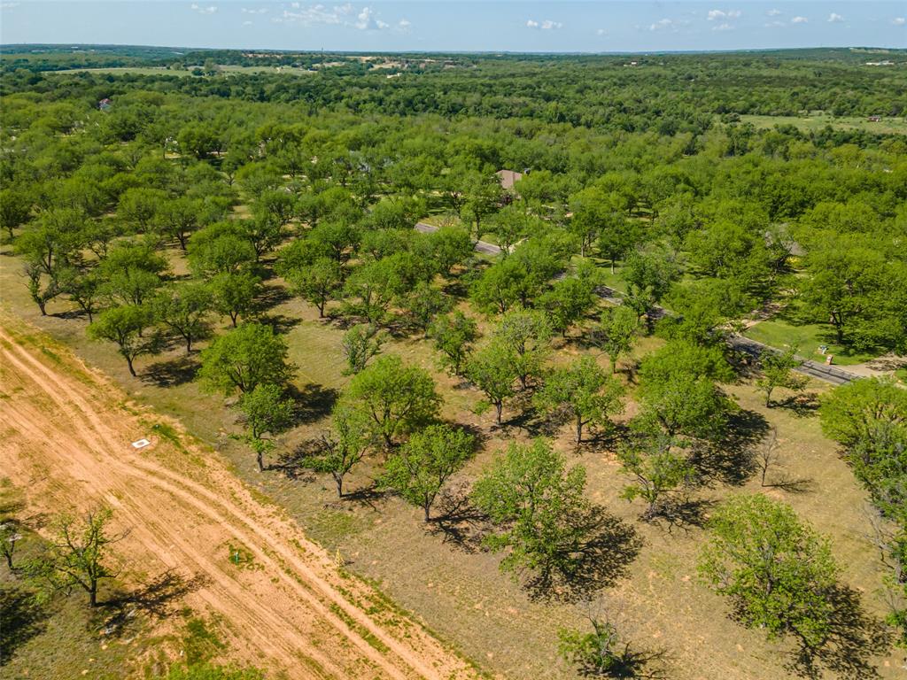 Pecan Plantation - Land
