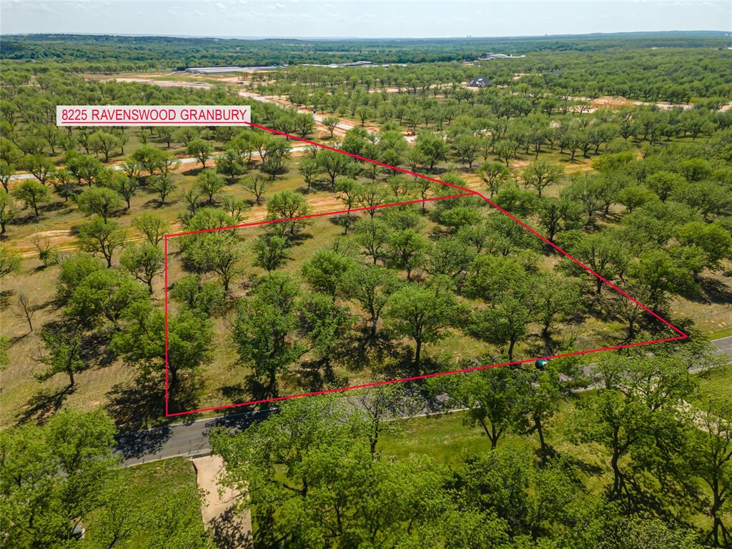 Pecan Plantation - Land