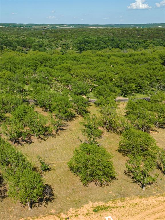 Pecan Plantation - Land