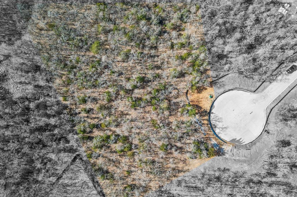 The Conservation - Land