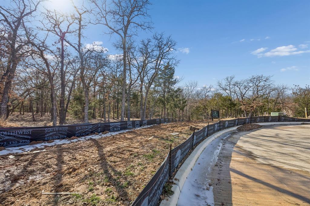 The Conservation - Land