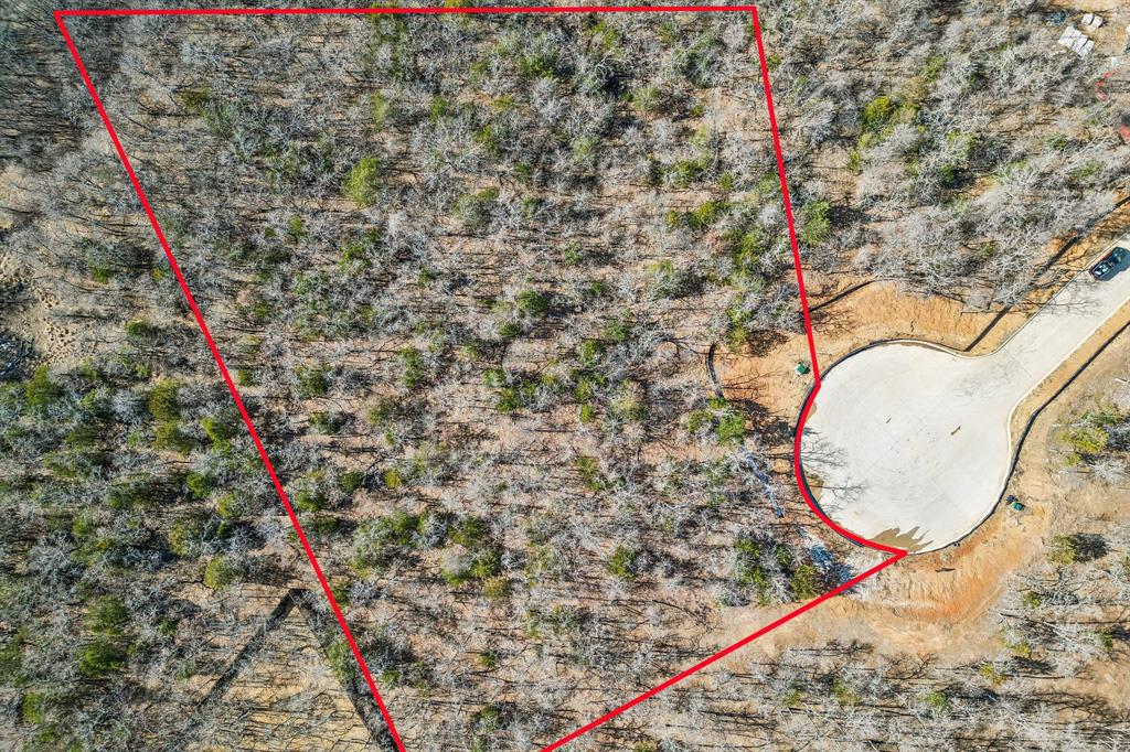 The Conservation - Land