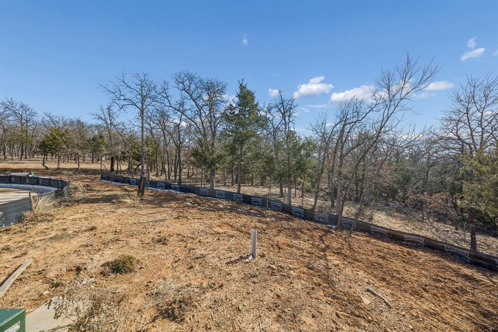 The Conservation - Land